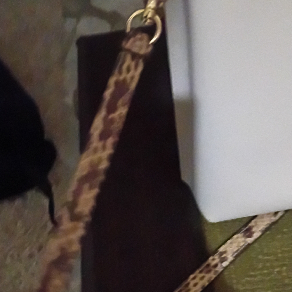 Coach Ivory Crossbody Bag - Picture 9 of 10